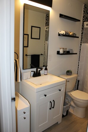 Hair dryer, towels, soap, shampoo