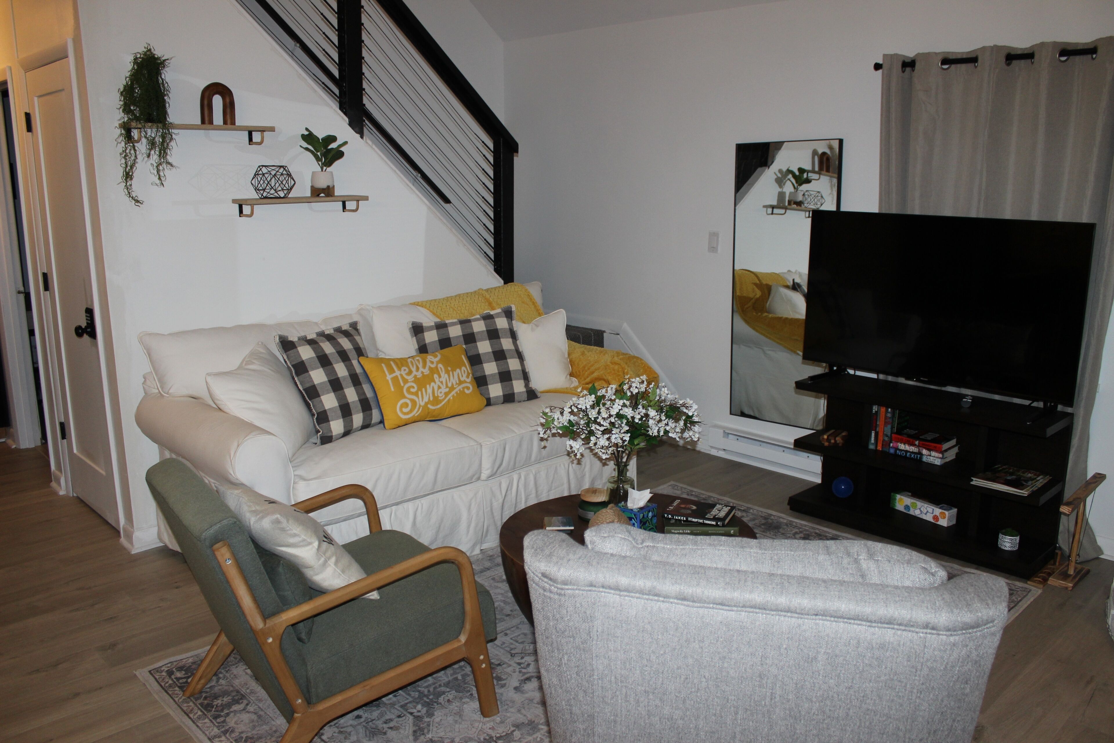 Smart TV, fireplace, books