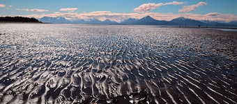 Cozy in Kenai Close to mouth of Kenai River and Beach access.