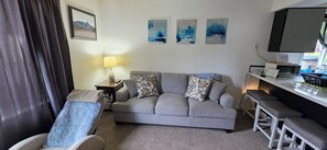Tv, dvd-afspiller, bøger, videobibliotek