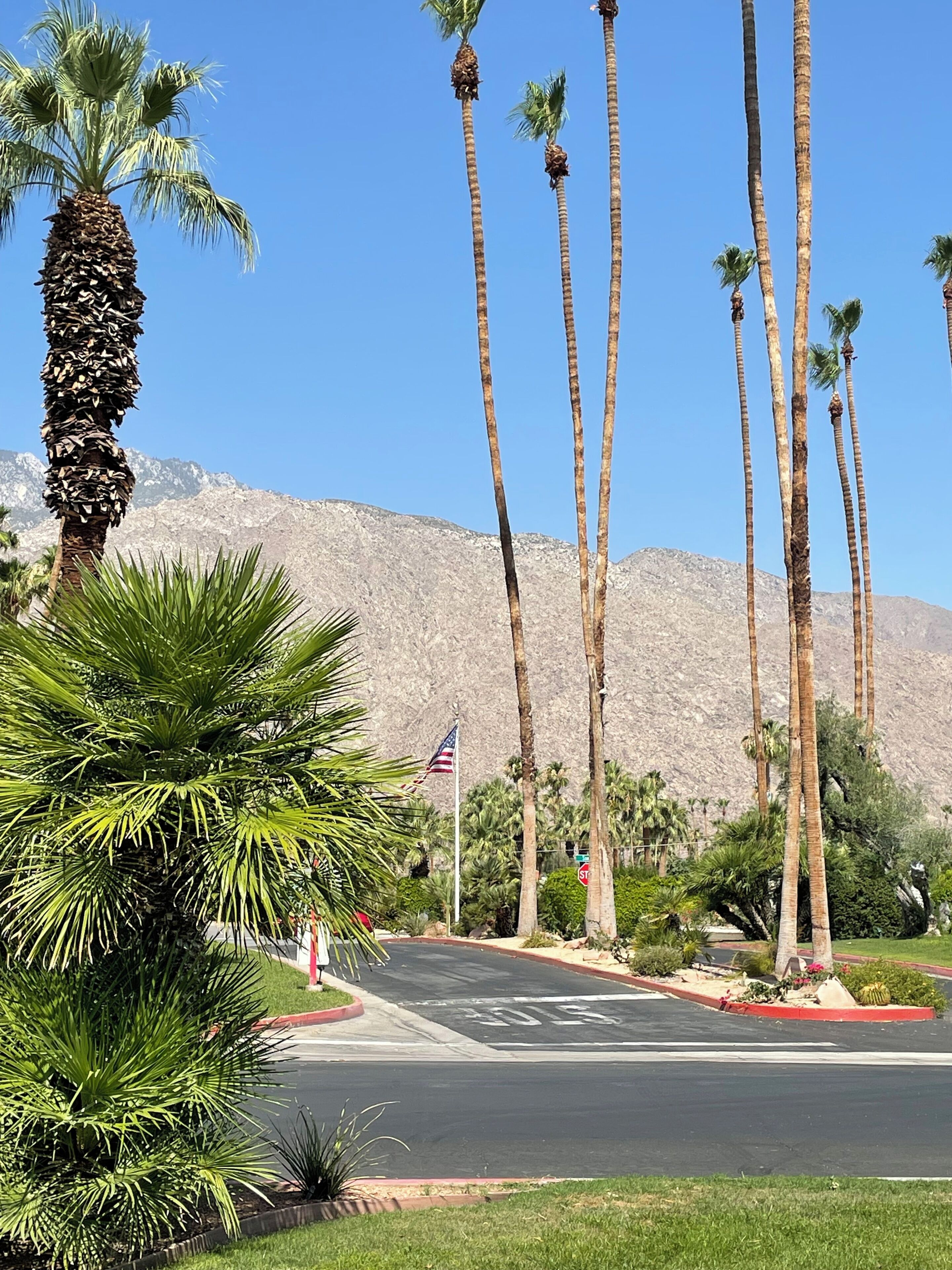 Completely Remodeled Palm Springs 2 bd/2bath Condo with Stunning Mountain Views