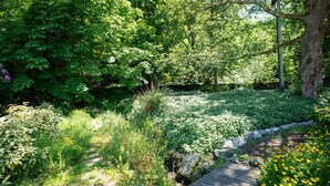 A garden pathway with a wooden boardwalk, surrounded by lush greenery and yellow flowers.