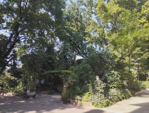 Cozy apartment in a green central area