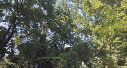 Cozy apartment in a green central area