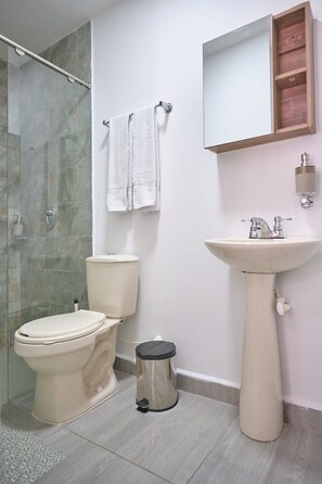 Towels, soap, toilet paper - S101. Economic and Functional Loft (Medellín)