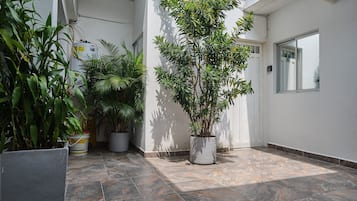 Detalle del exterior