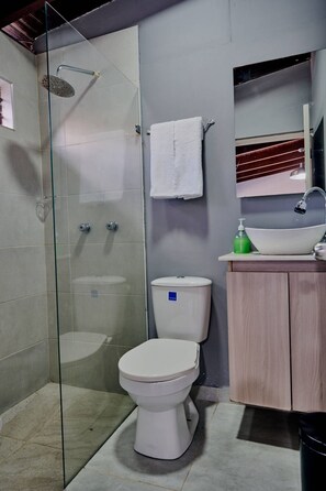 Serviettes fournies, savon, papier toilette