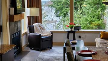 Älytelevisio, takka