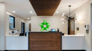 A reception desk with a modern design, a wooden ceiling, and a unique green wall decoration.