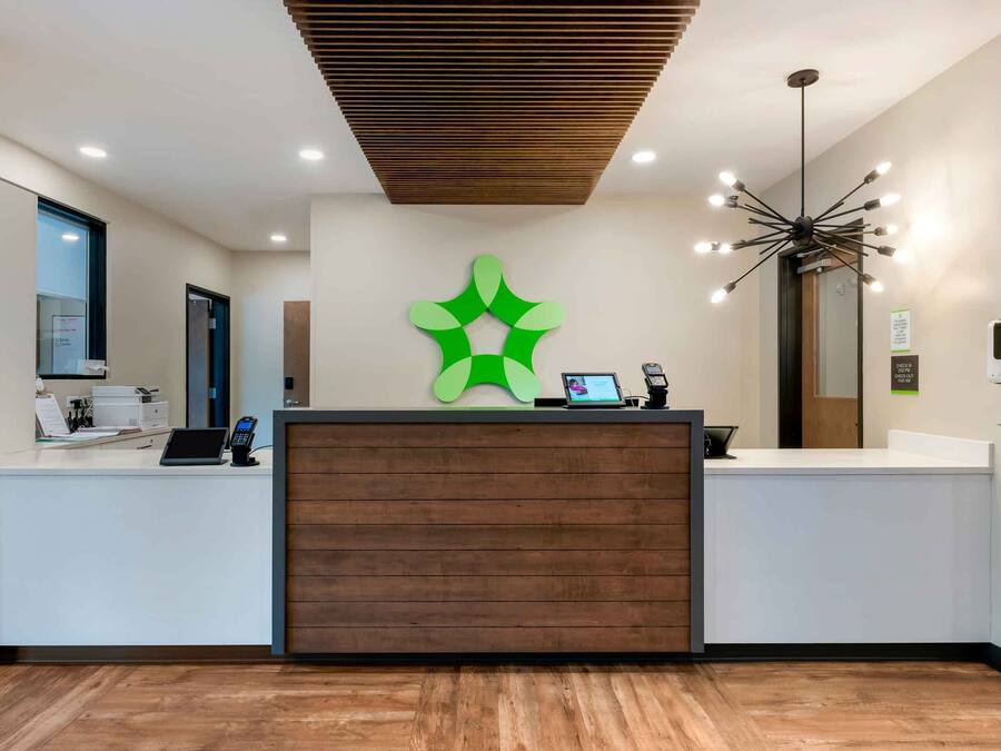 Una recepción con diseño moderno, techo de madera y una decoración de pared verde original.