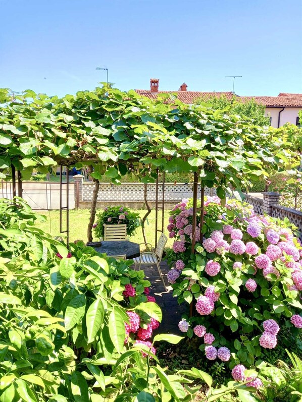 Parco della struttura