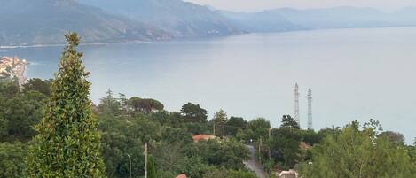 Vista desde la propiedad