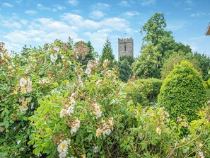 Property grounds - Church View Cottage - UK45697 (Pickering)