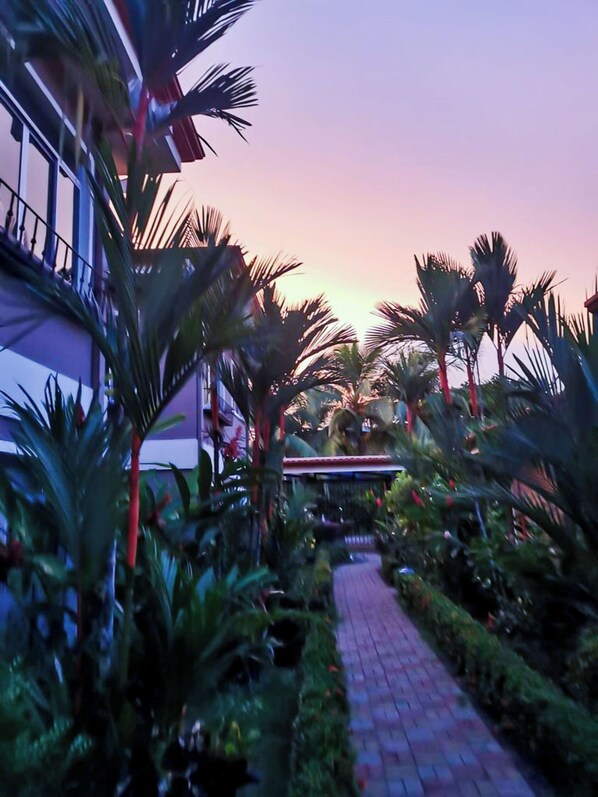 Terrace/patio - Villas Serendipity (Tárcoles)