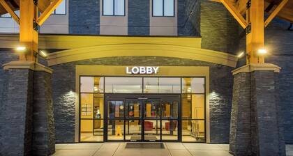 Hotel 11, MOD A Sonesta Collection