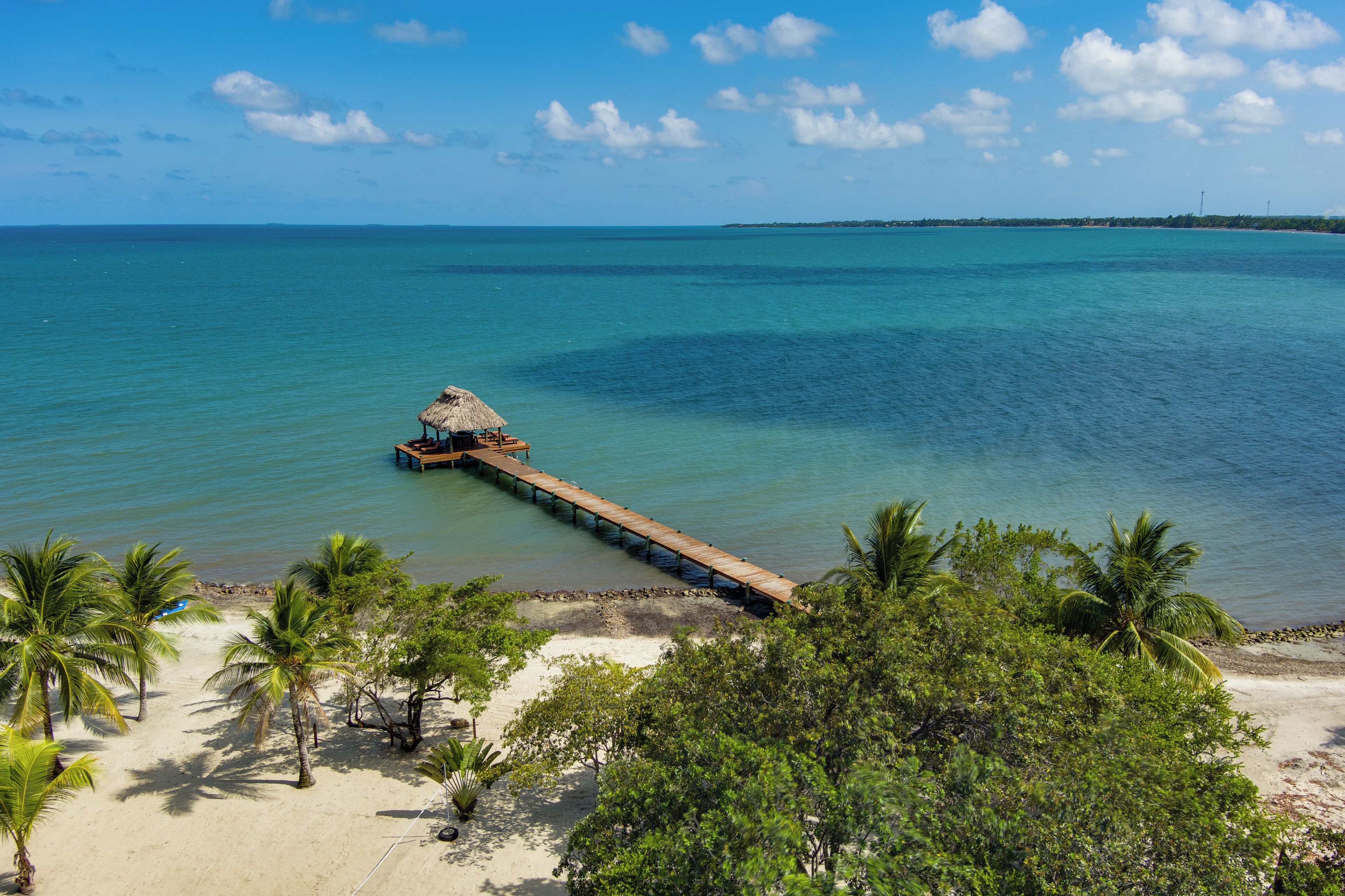 A beach with a wooden pier extending into the ocean, surrounded by palm trees and a thatched-roof hut.