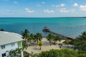 A beach with a wooden pier extending into turquoise waters, surrounded by palm trees and a building with a green facade. - Marazul Belize (Placencia)