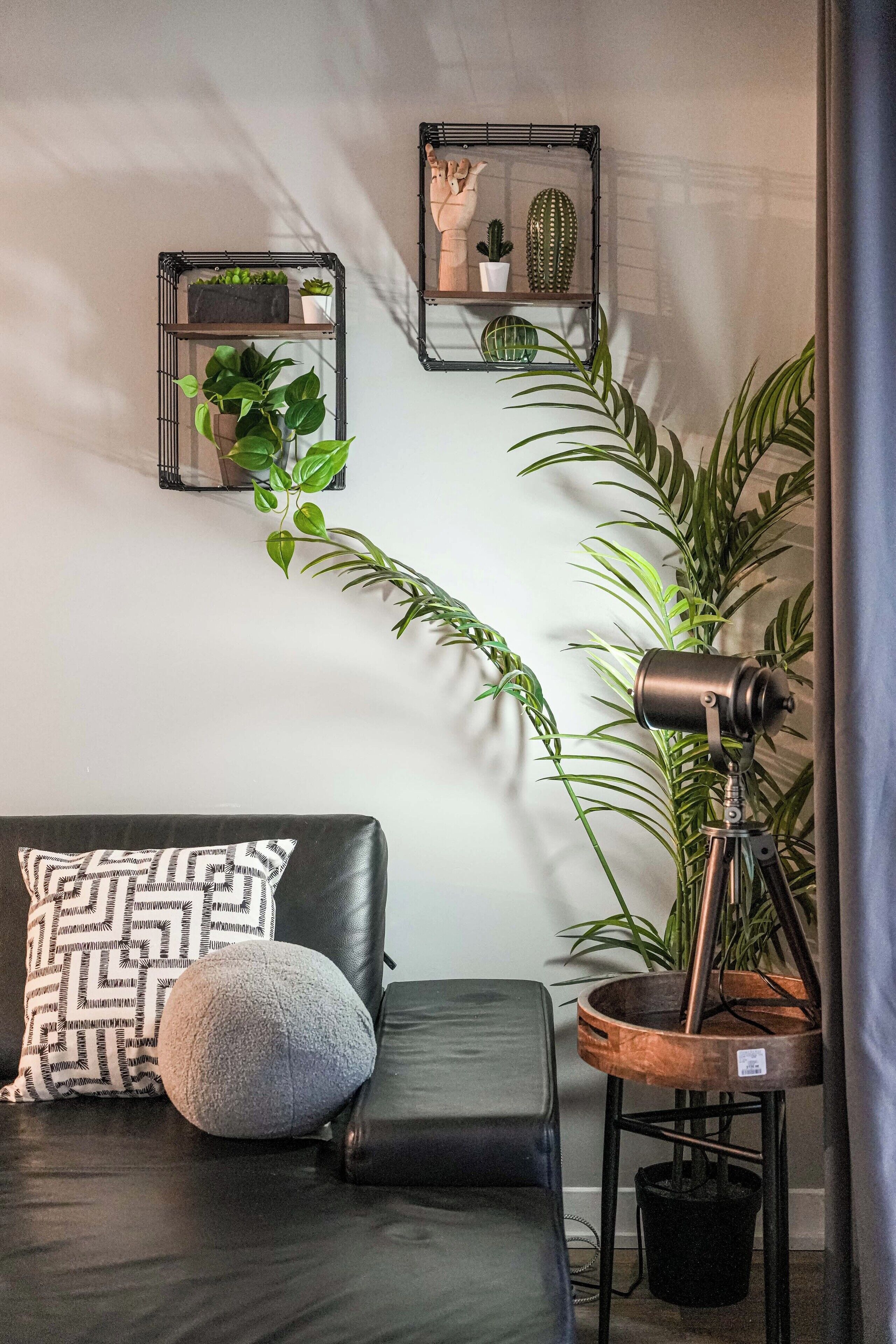 Una sala de estar moderna con un sofá de cuero negro, una planta grande en maceta, un telescopio y dos estantes montados en la pared con plantas y objetos decorativos.