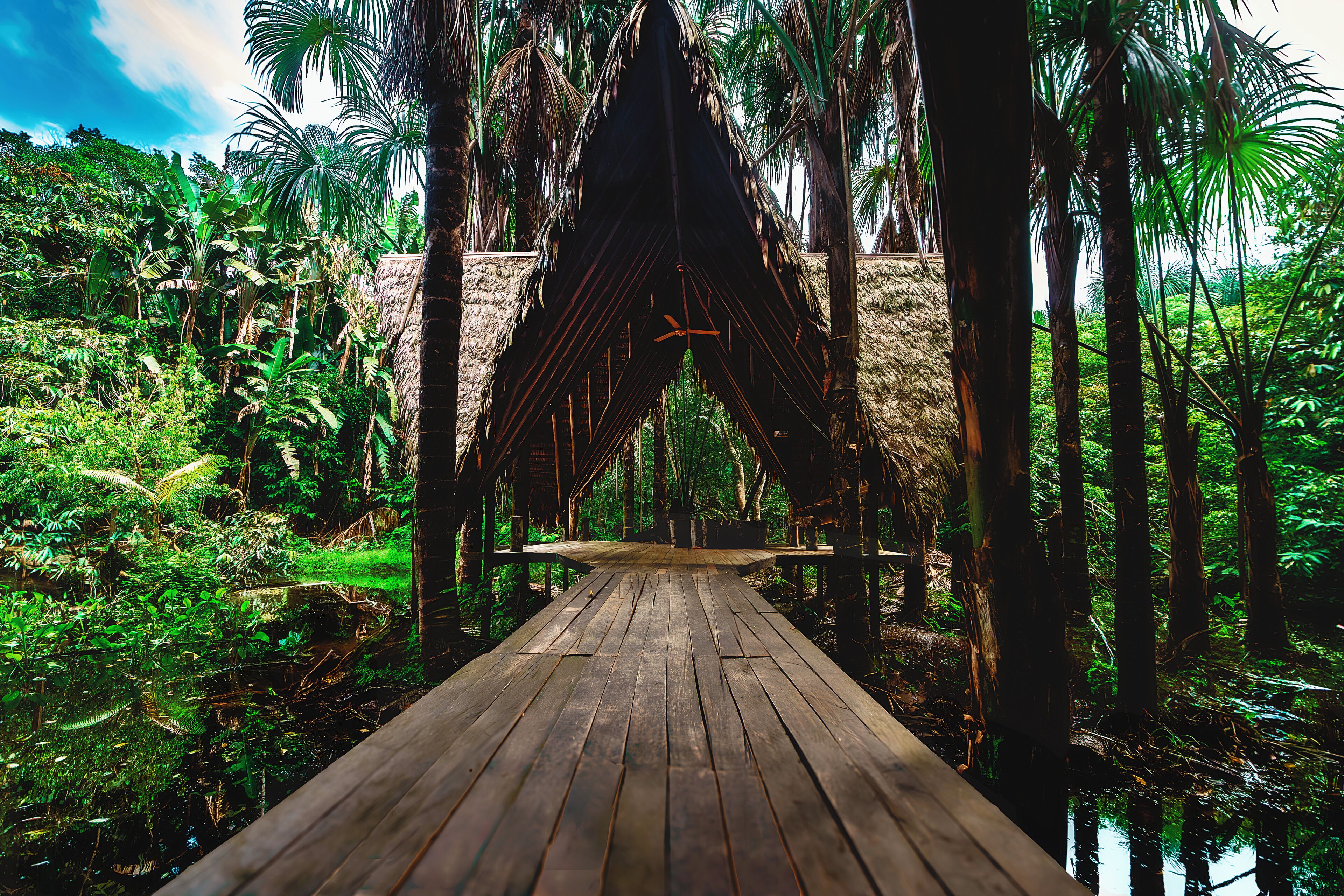 A wooden pathway leading through a dense forest with tall trees and lush greenery.