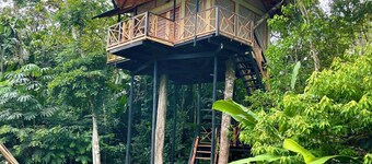 Buru Nature Hotel