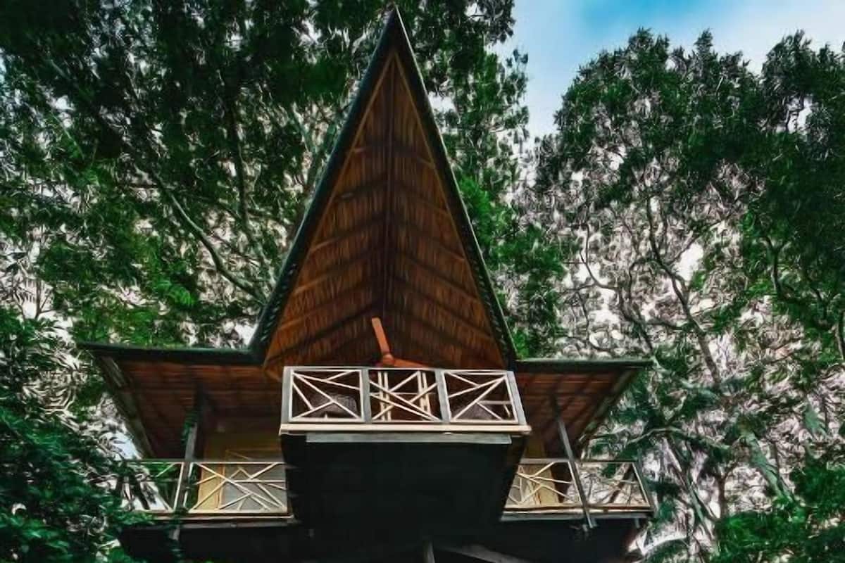 Ein Baumhaus mit Holzwänden und einem dreieckigen Dach, umgeben von üppiger Vegetation.