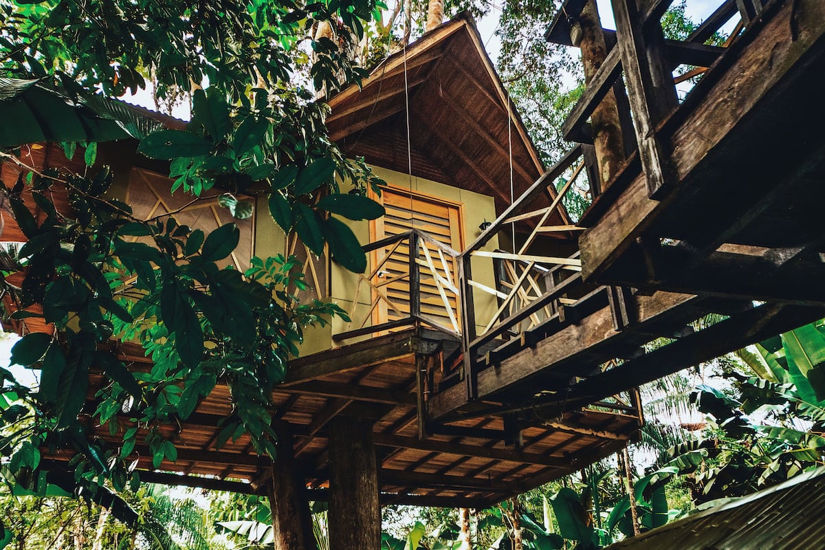 Ein Baumhaus mit Holzwänden und einer Treppe, die hinaufführt.