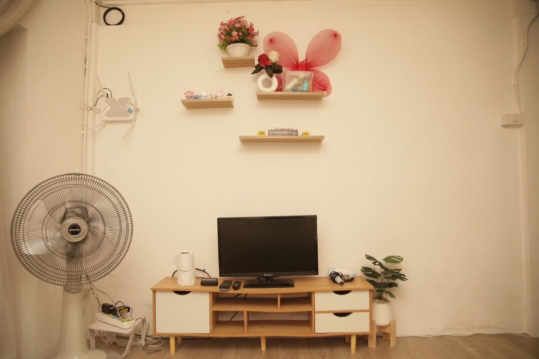 A room with a TV on a wooden stand, a fan, a small table with a plant, and decorative items on shelves.