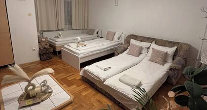 Rose 1-bedroom apartment in the heart of Budapest