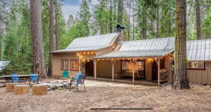 LAZY BEAR CABIN! Sleeps 10-12, wheelchair accessible, great Highway 4 location.