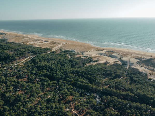 Beach - Villa spacieuse + piscine | À 3,5 km des plages (Lacanau)