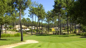Campo de golf con un búnker de arena, altos pinos y una bandera amarilla que marca el hoyo.