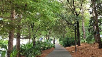 A paved pathway flanked by trees and greenery, leading into a forested area.