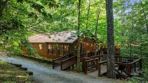 Terrace/patio - Lazy Bear Den of Cherry Log Mountain (Blue Ridge)
