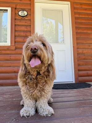 Détail de l’extérieur