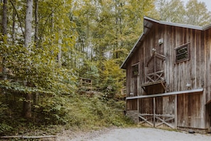 Ein rustikales Holz-Stallgebäude mit erdebedecktem Vorfeld, umgeben von dichter Vegetation.