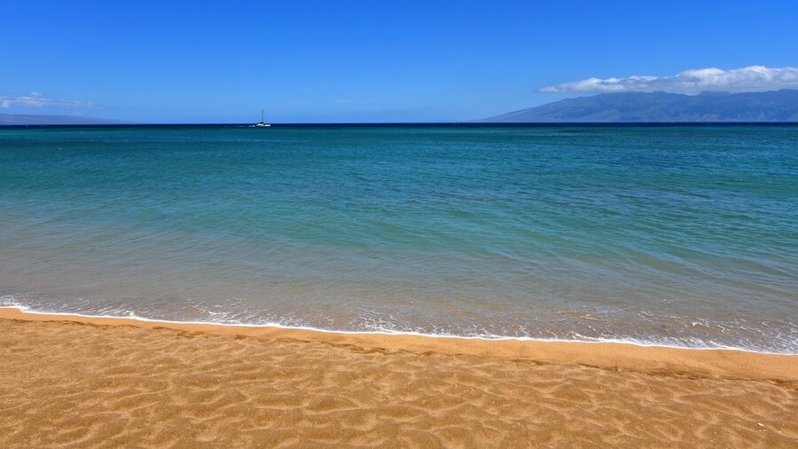 Kahana Villa F405 in Lahaina