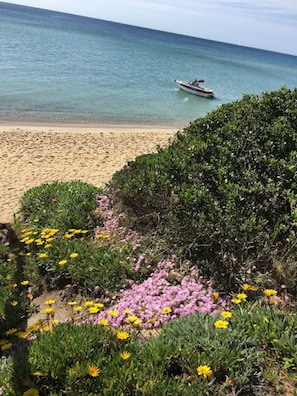 Beach - Quiet, luxurious Guest House - Couples Retreat (Mornington)
