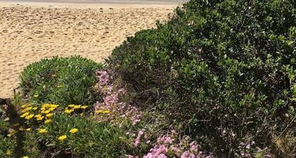 Quiet, luxurious Guest House - Couples Retreat