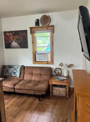 Smart TV, fireplace, books