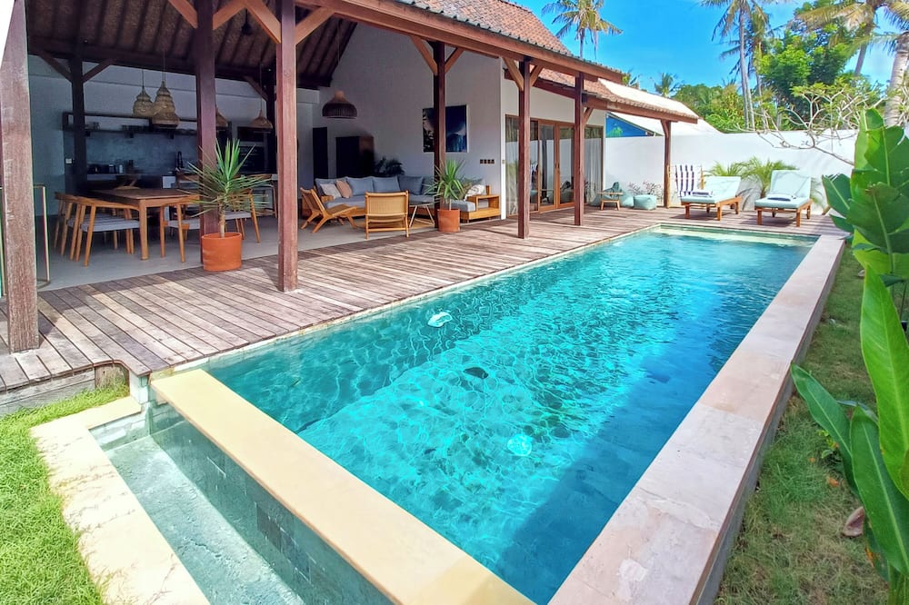 Palm Paradise