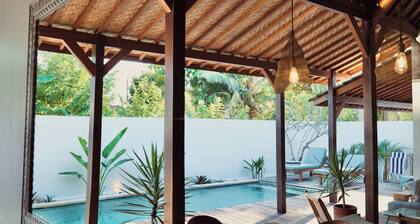 Palm Paradise