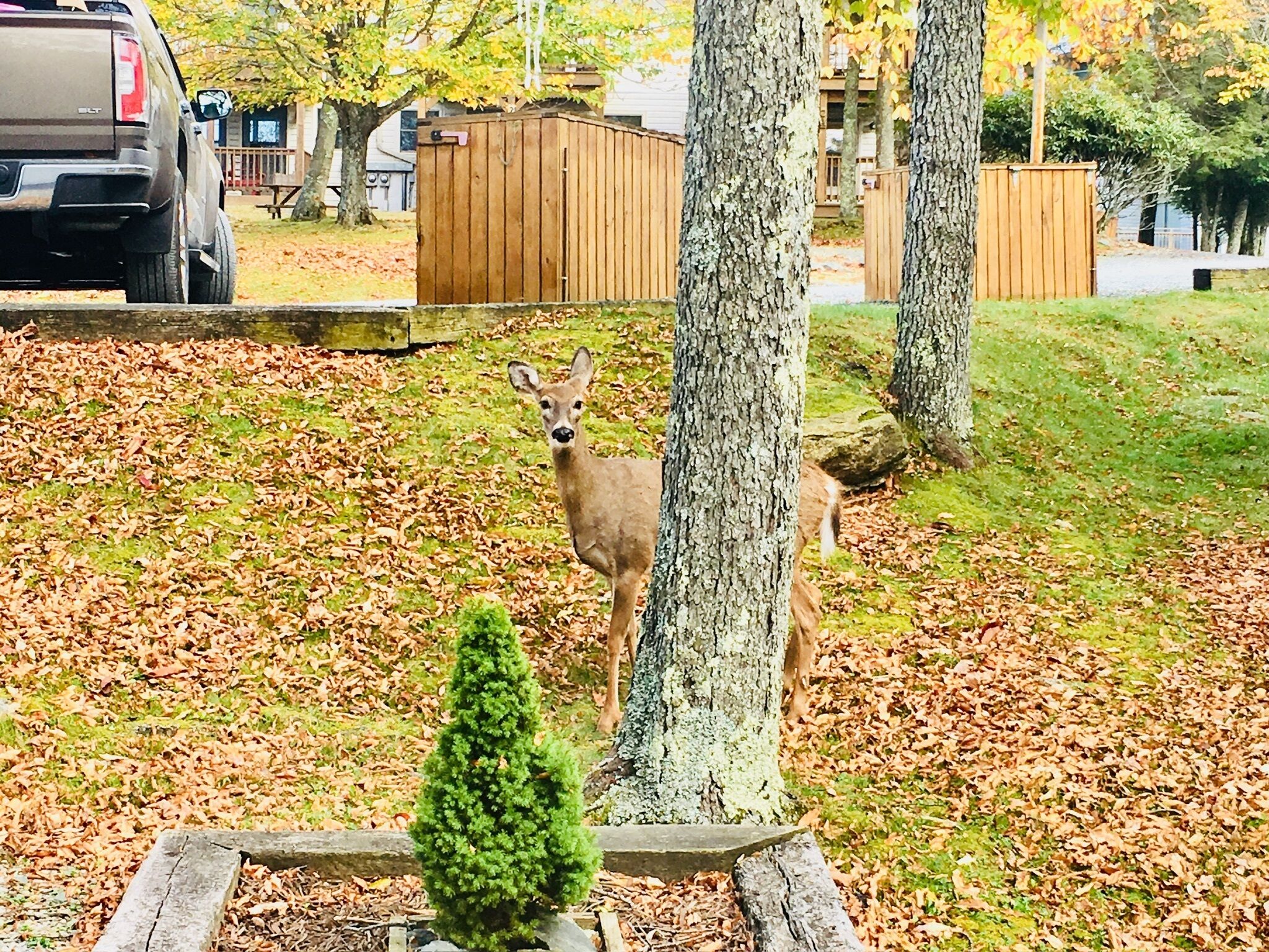Cozy Townhome Near Skiing and Hiking -40 percent off 30 day stays for summer