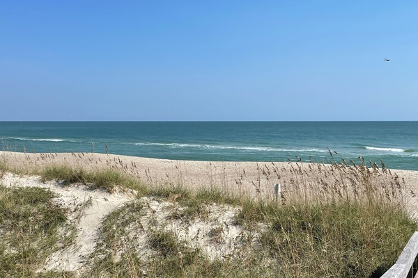 Gandules de platja i tovalloles de platja