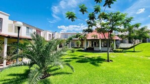 A residential area with houses, a well-maintained lawn, and a clear blue sky.