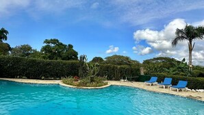 A clear blue pool with lounge chairs and a palm tree in the background. - Costa del sol (Sosúa)