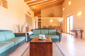 Televisión y chimenea 