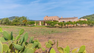 Jardines del alojamiento