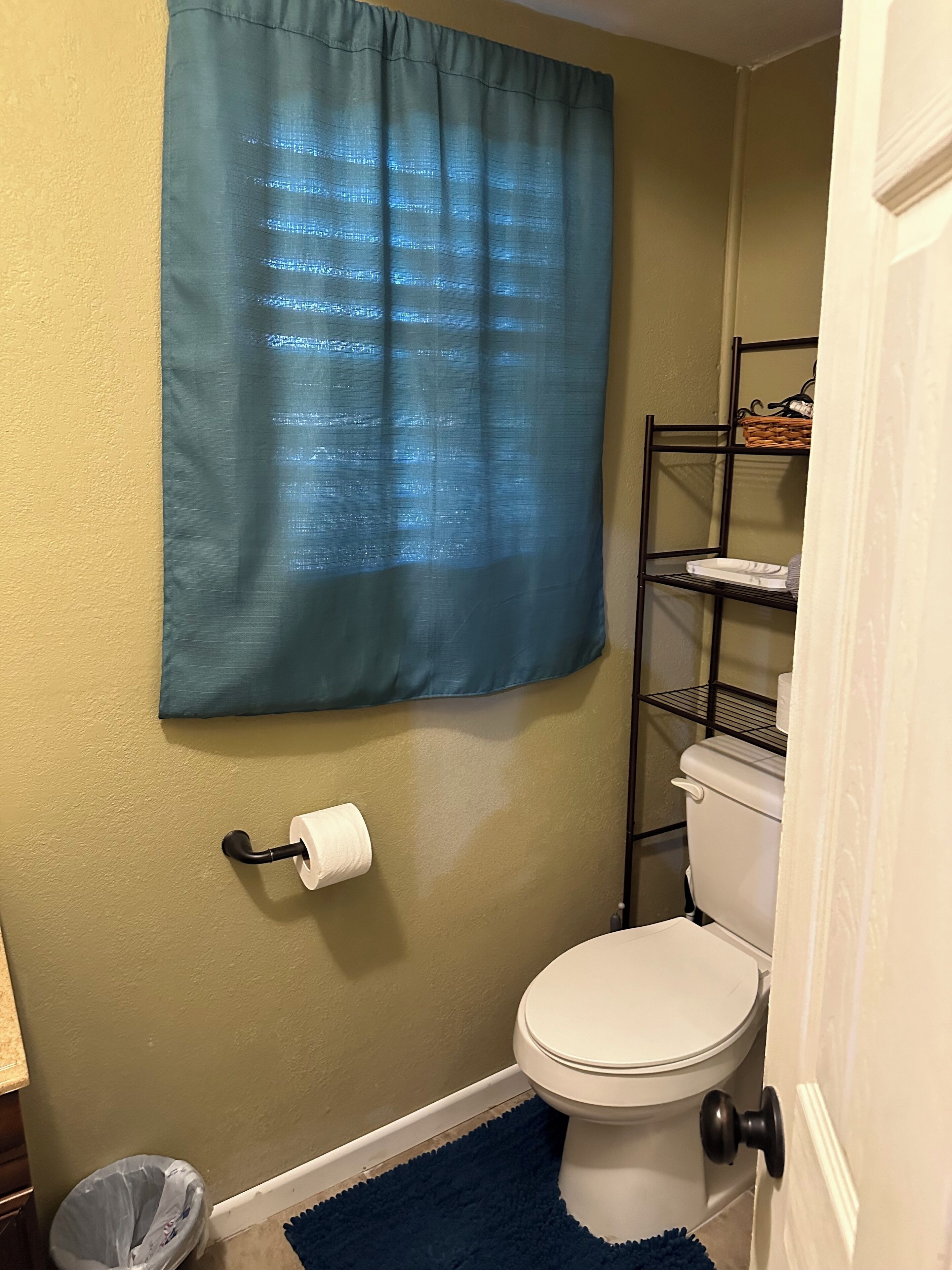 Ein kleines Badezimmer mit Toilette, einem blauen Teppich, einem weißen Duschvorhang und einem Metallregal mit Toilettenartikeln.
