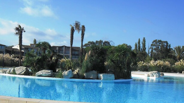 A swimming pool with clear blue water, surrounded by rocks and palm trees, with a tiled deck in the foreground.
