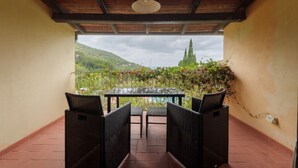 A covered patio with wicker furniture and a table, overlooking a vineyard and hills.
